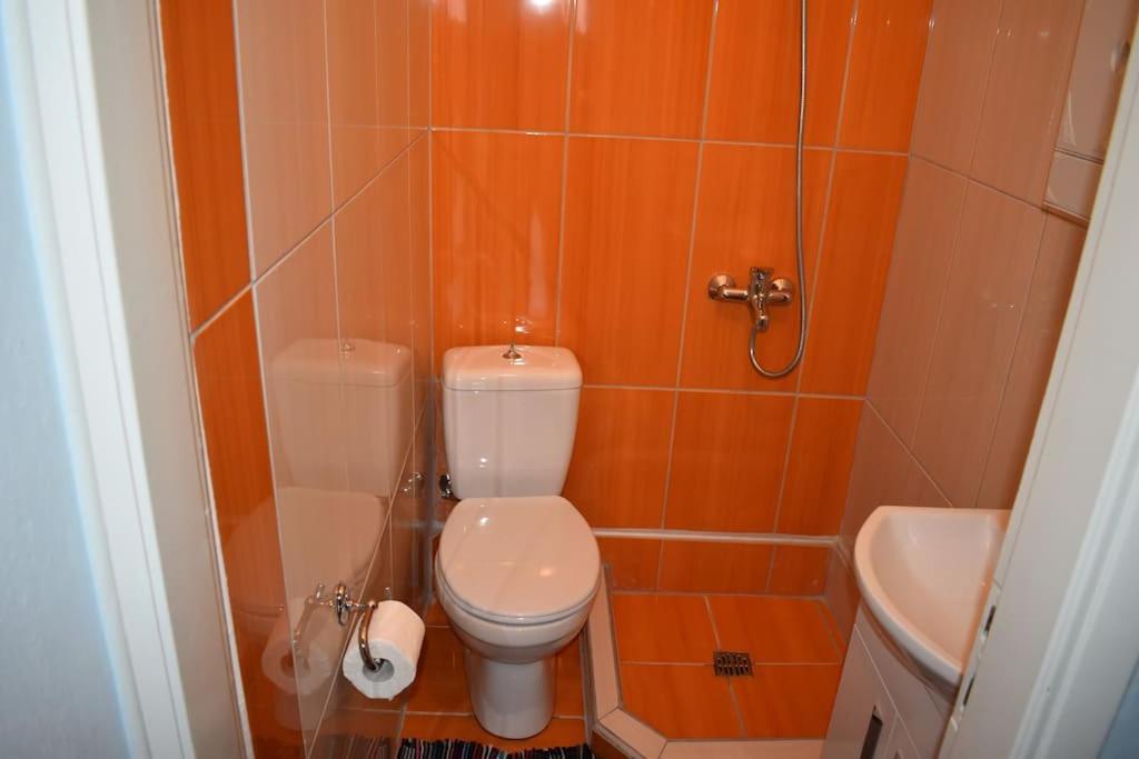 Rose'S House Apartment Trikala  Exterior photo